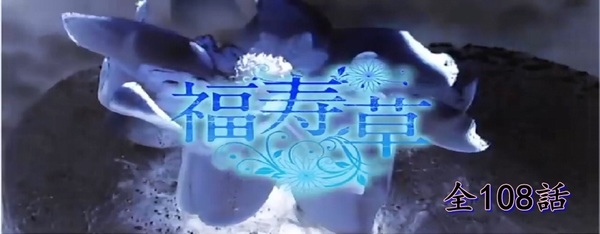 福寿草.jpg